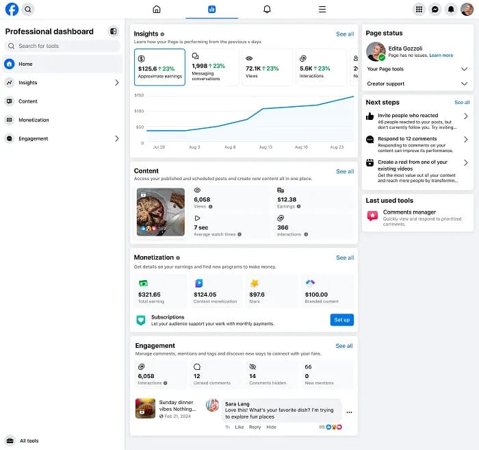 meta professional dashboard